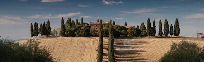 攻击网站服务器