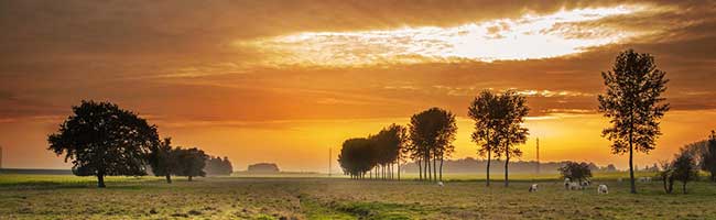 攻击网站的方法